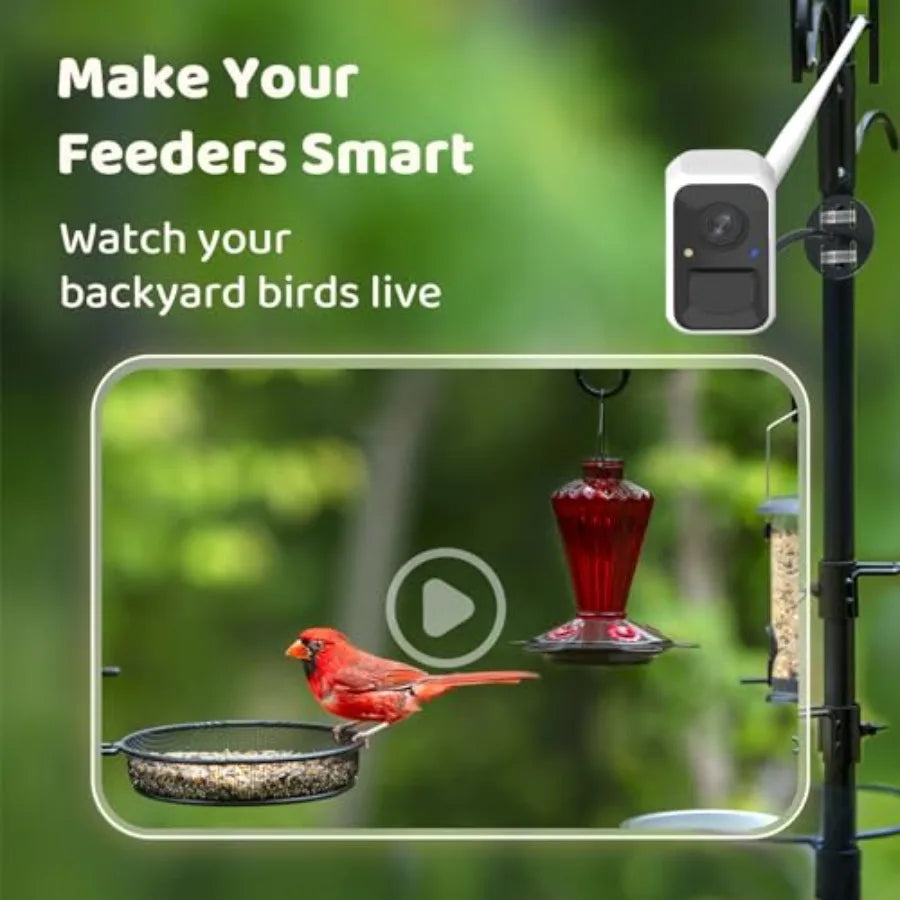 Smart Bird Feeder Camera with Adjustable Brackets for Outdoor Use