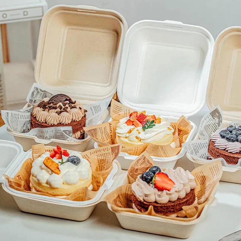 Disposable Fibre Bento Containers, Pack of 10