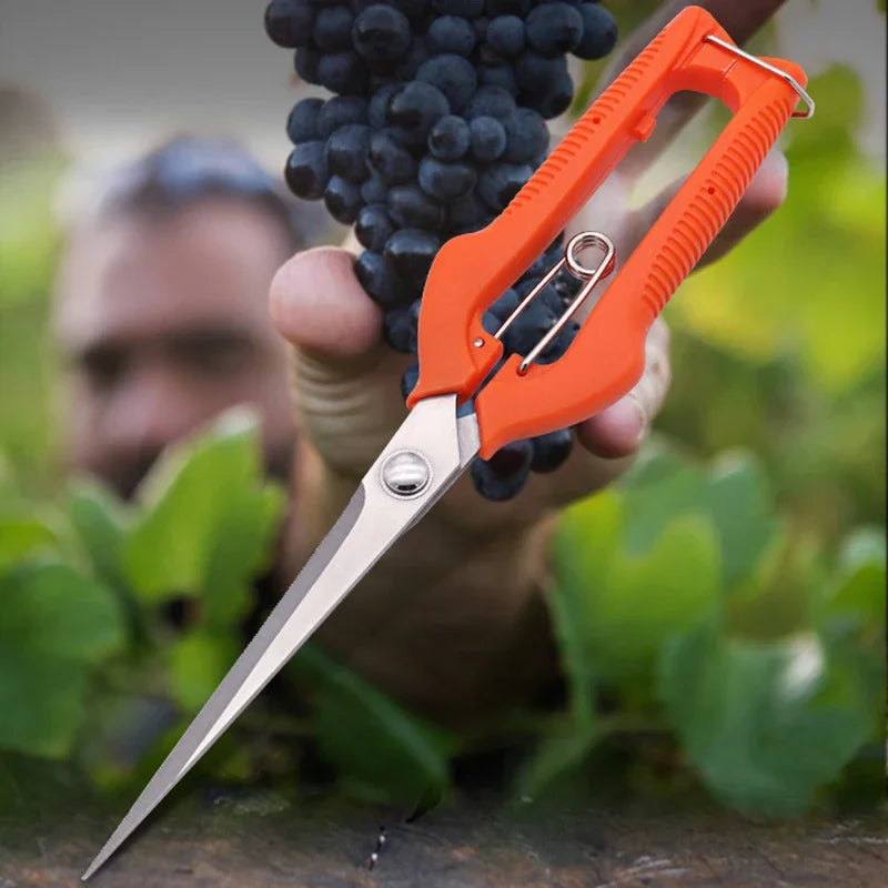 Grape Scissors Pruning Shears Garden Tool Vegetable Patch Bonsai Professional Joinery Stainless Steel Fruit Picking With Lock 