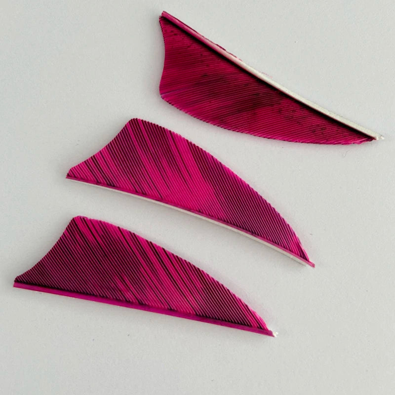 50 Plumillas de pluma de pavo de alas derechas — 2 pulgadas