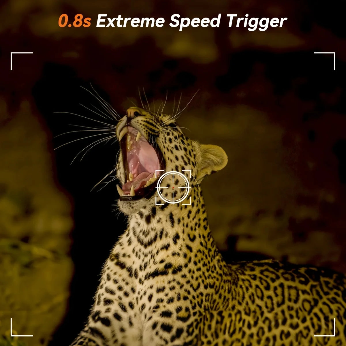 Hunting Camera Wild Infrared Night Vision Outdoor Motion Trail Game Cam Activated Tracking Photo Trap Cam Wild Surveillance 