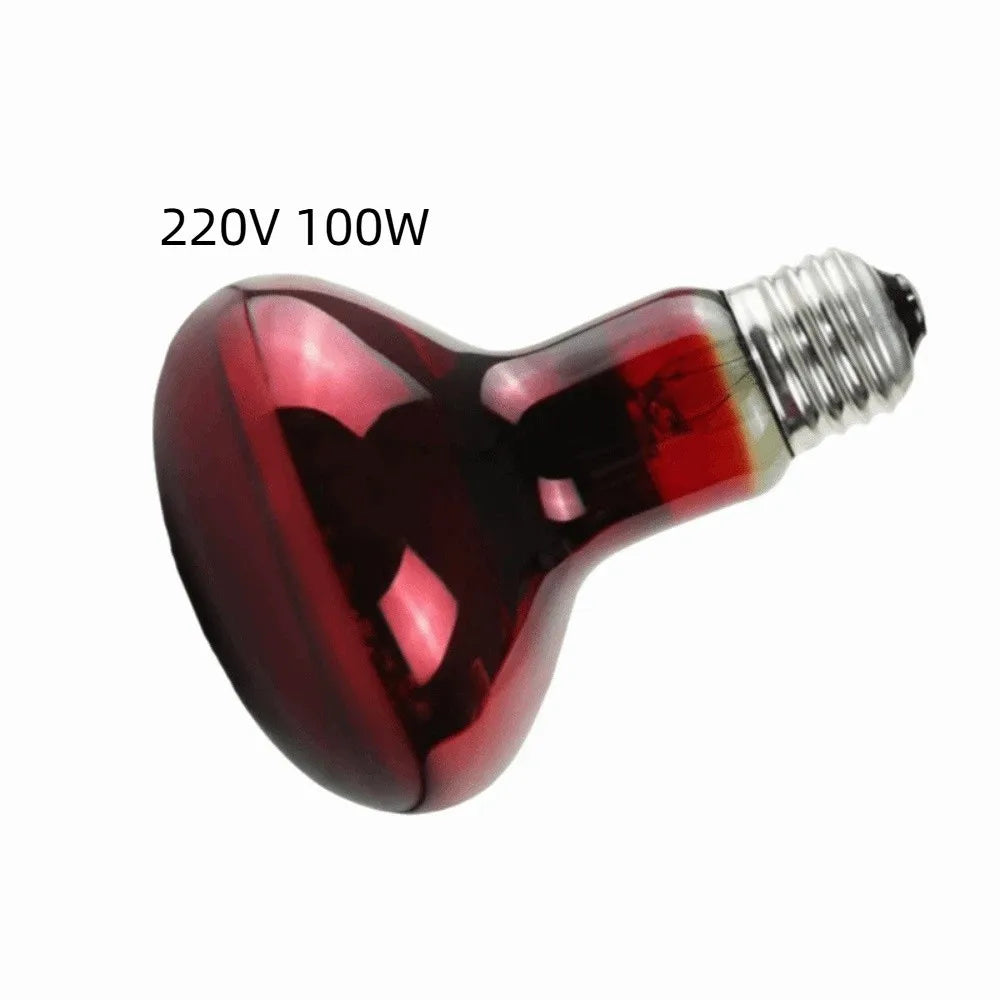 E27 Reptile Basking Bulb, 25–100W Options