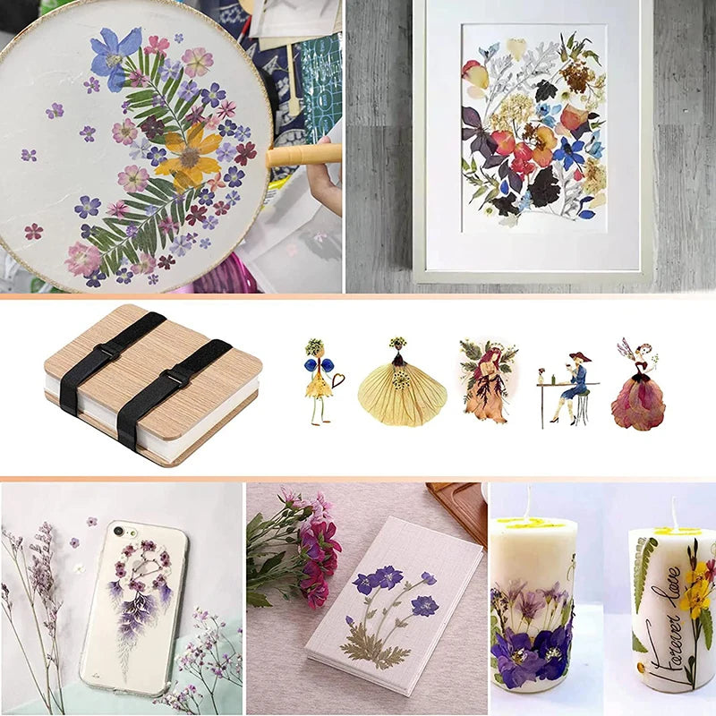 Bloem- en bladpers-kit