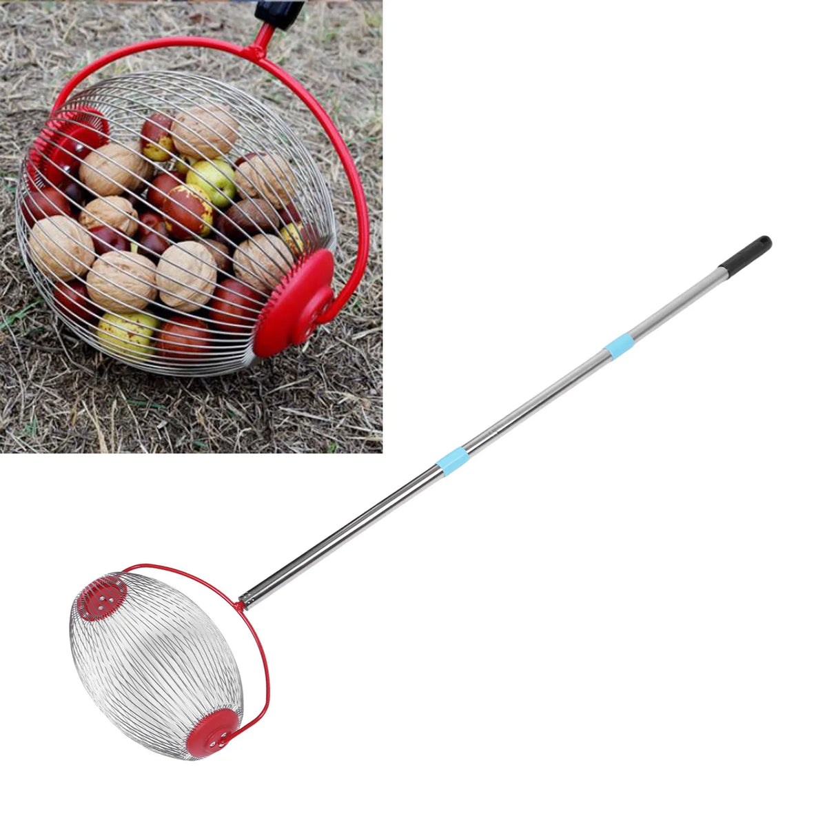Rolling Nut Collector with Three-Section Handle