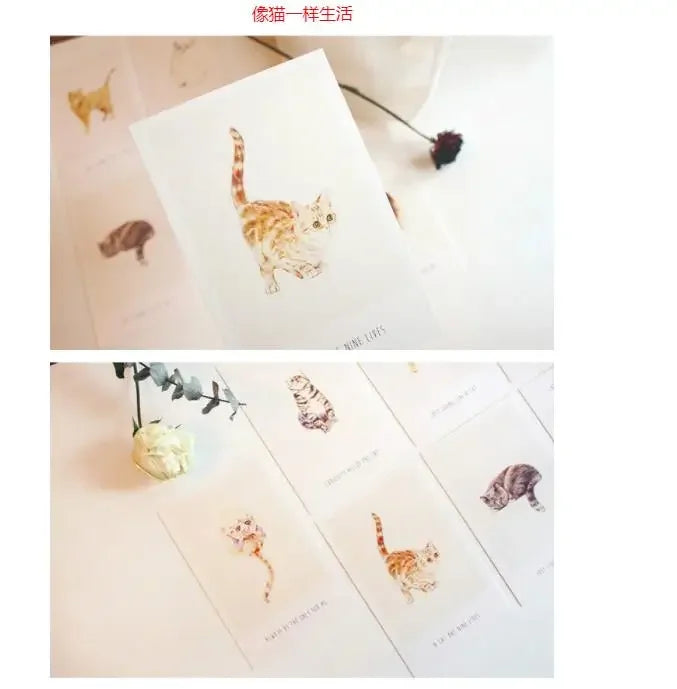 Boxed Illustrated Postcards, 30 Cards, 143 × 93 mm