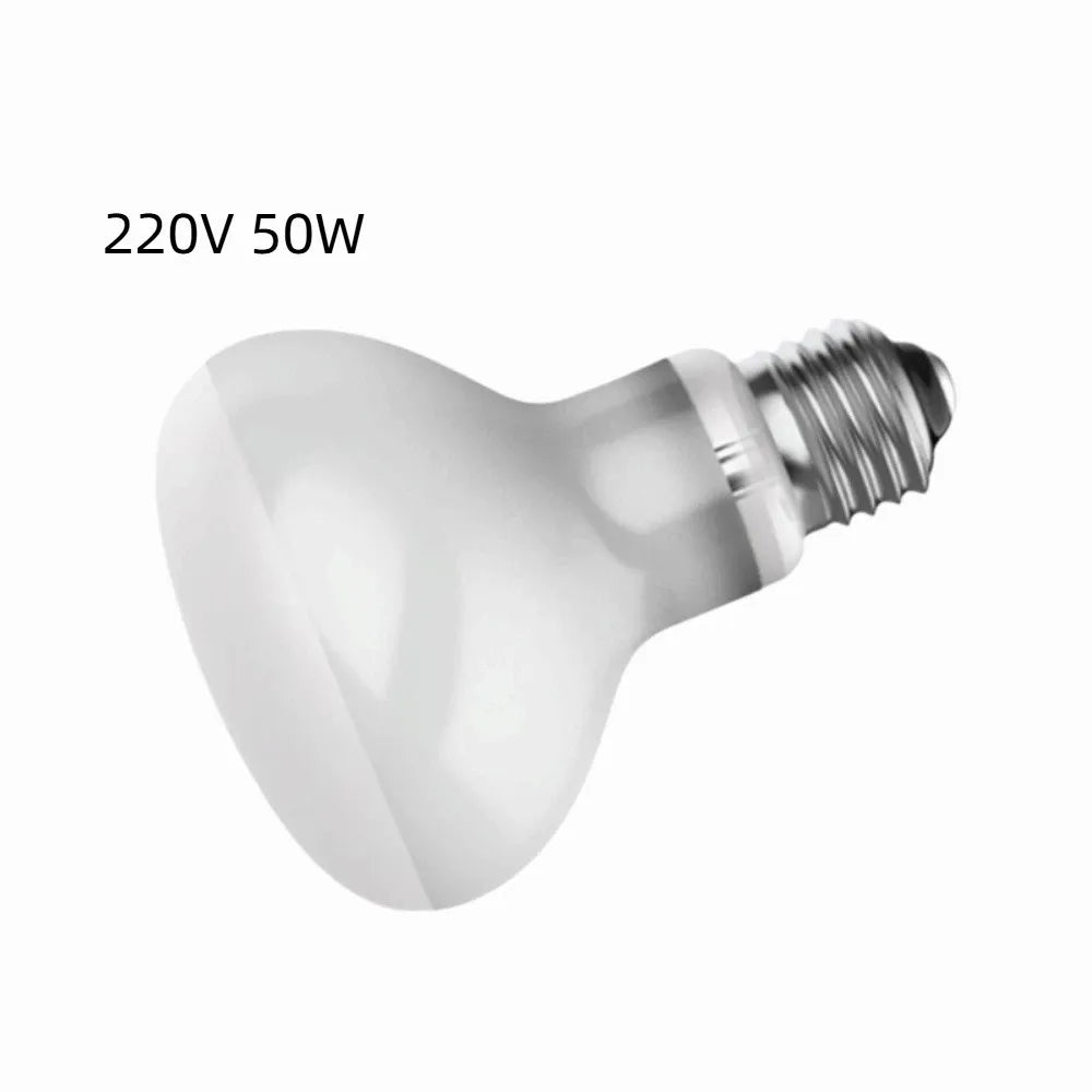 E27 Reptile Basking Bulb, 25–100W Options
