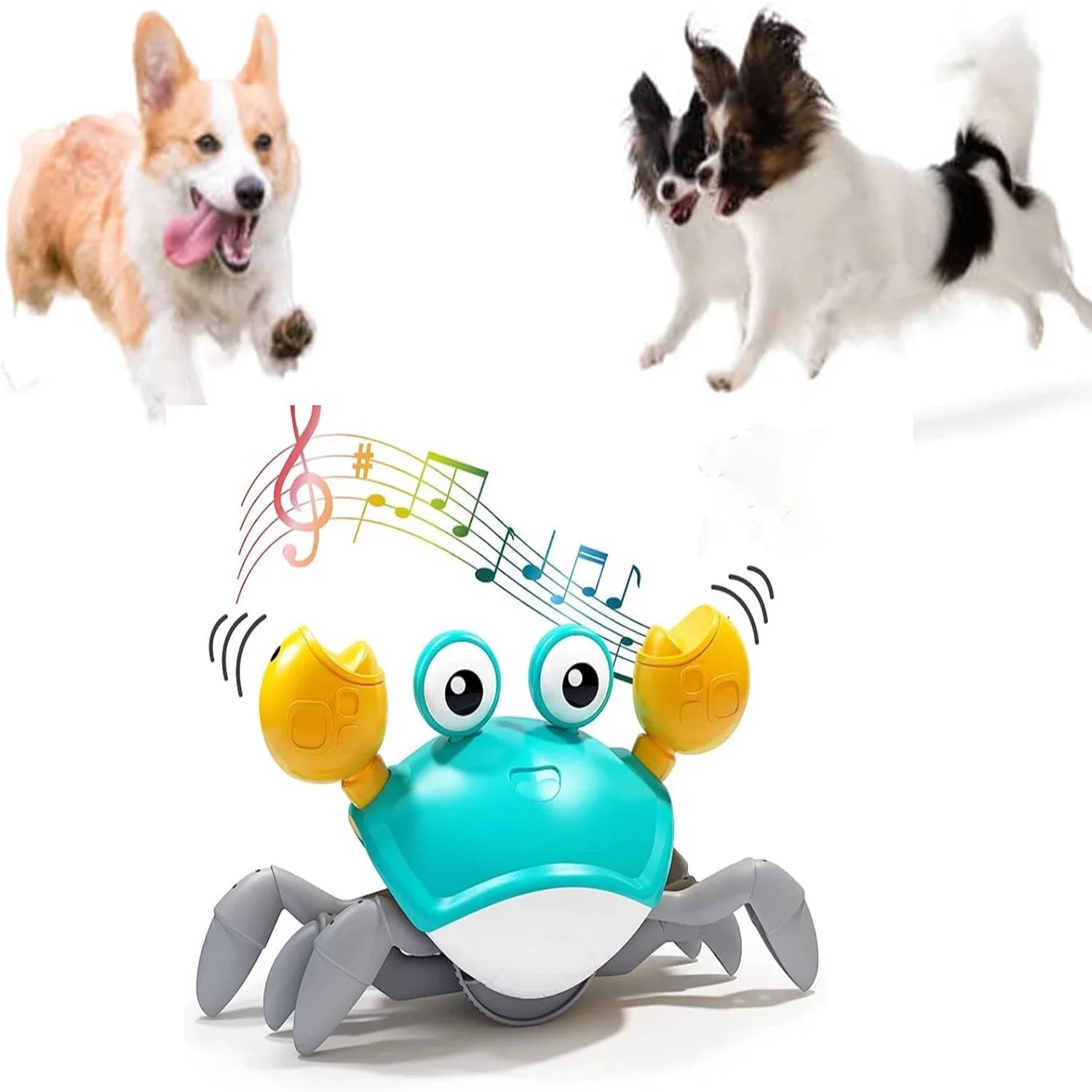 Dancing Crab Pet Toy with Music & Auto-Dancing, Interactive Fun for Cats Dogs - Indoor Pet Entertainment 