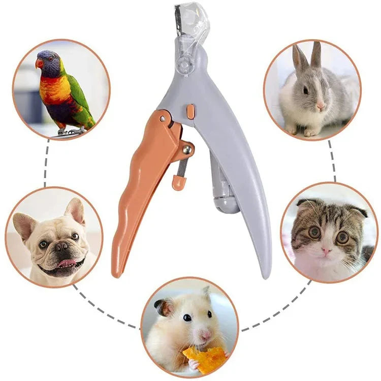 Coupe-ongles pour animaux avec lumière LED pour une toilette sécurisée des chats et des chiens