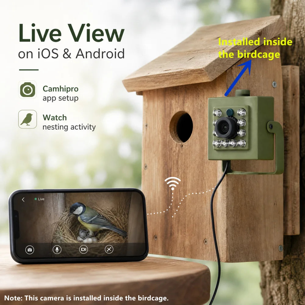 WiFi Bird Box HD Camera Starter Pack 2MP 5MP for Wildlife
