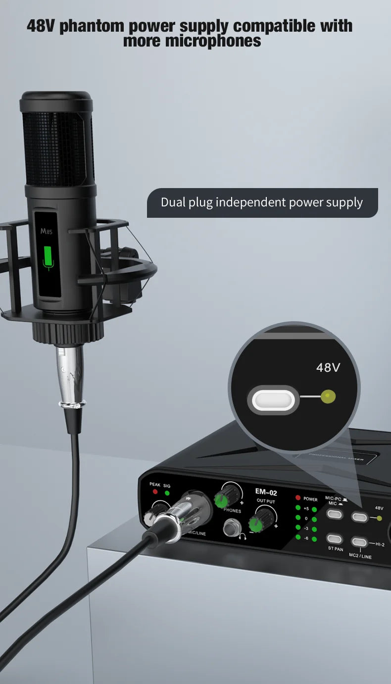 EM-02 USB Audio Interface met Microfoonvoorversterker