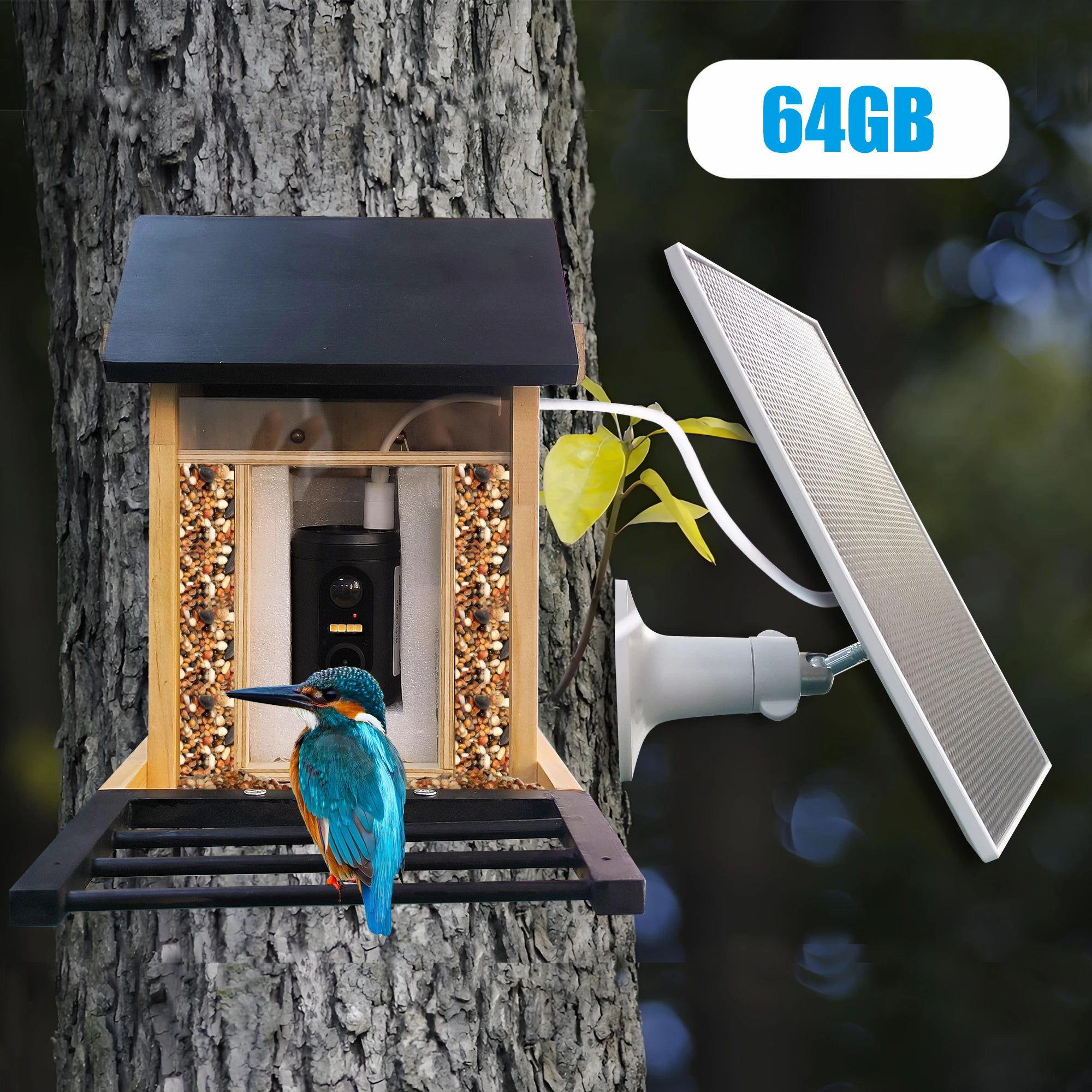 1080P Solar Bird Feeder Camera with Night Vision