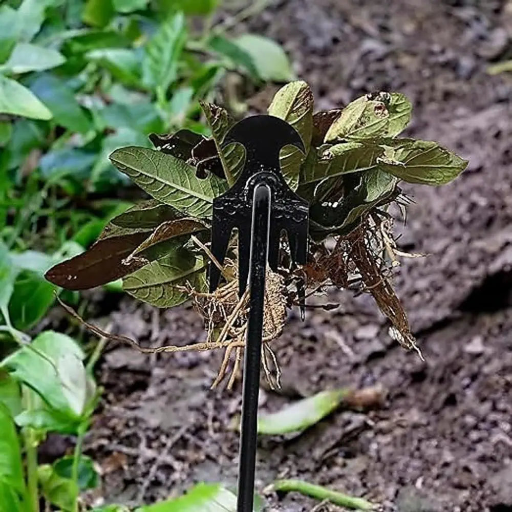 Four-Tine Hand Weeding Tool