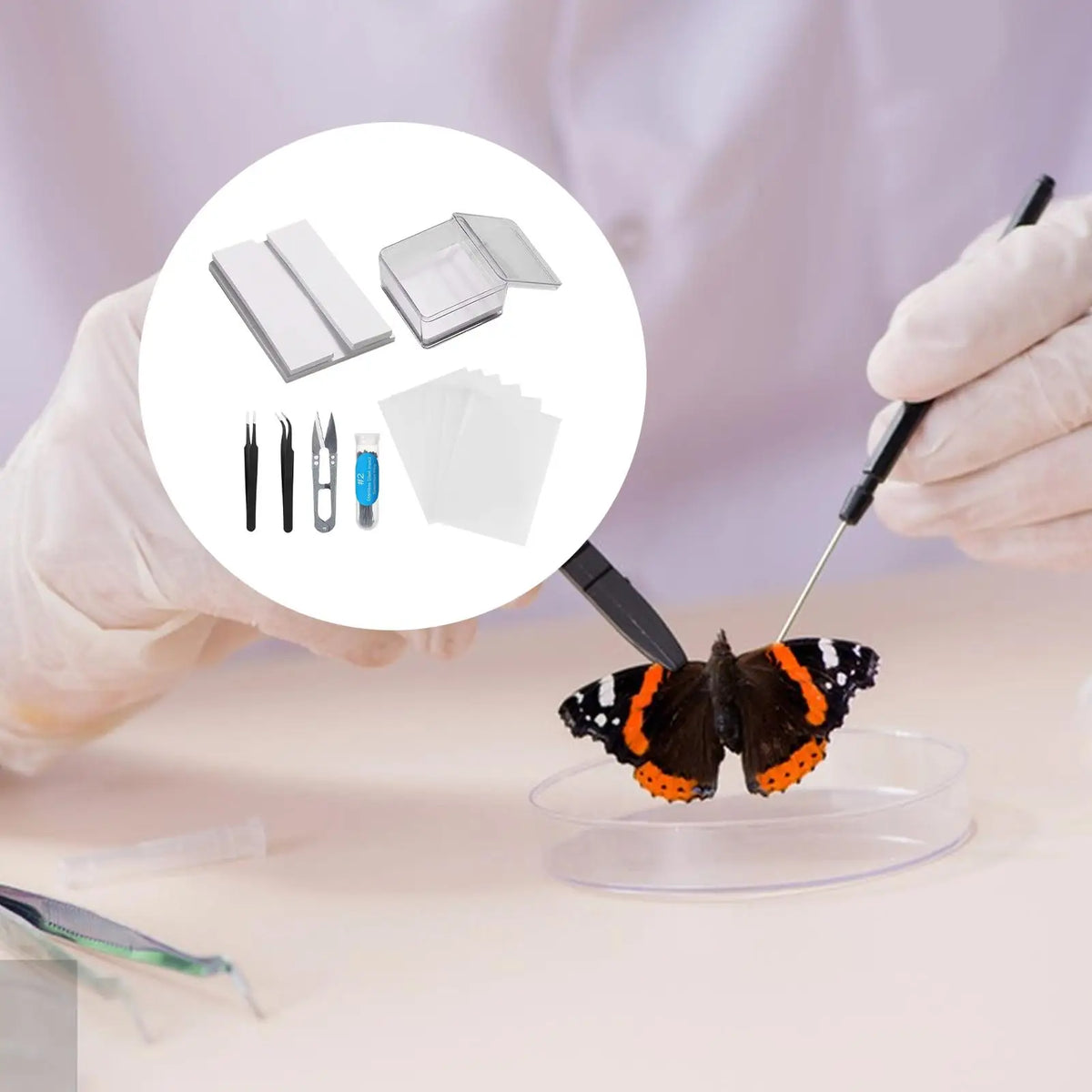 Butterfly Specimen Preparation Tool Kit