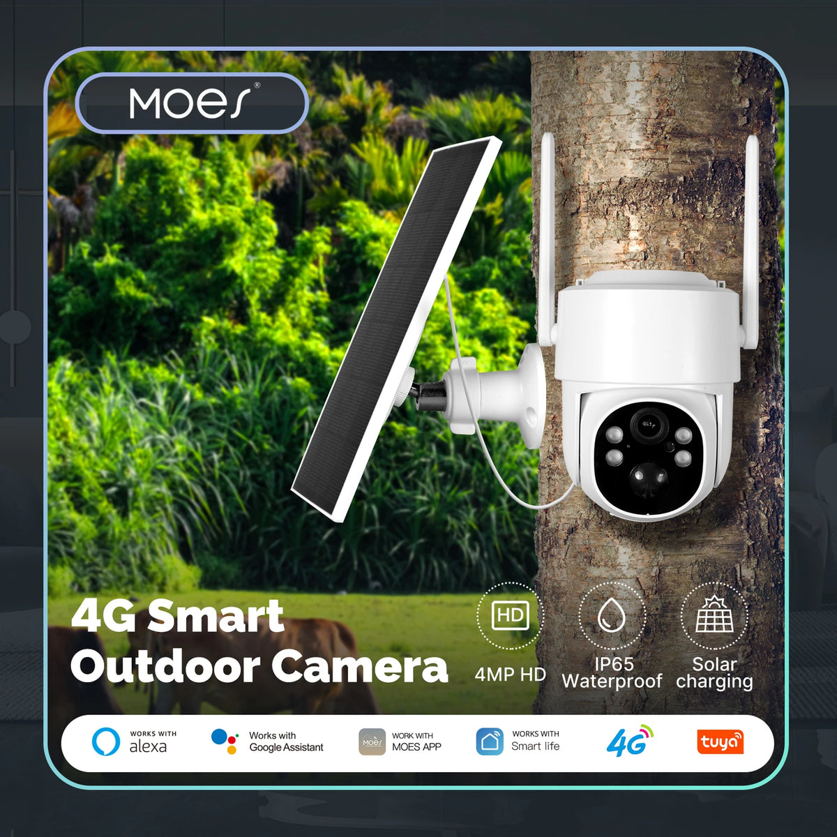 4MP Solar Outdoor Security Camera with WiFi/4G, IP65 Waterproof, Human Tracking, Full Color Night Vision