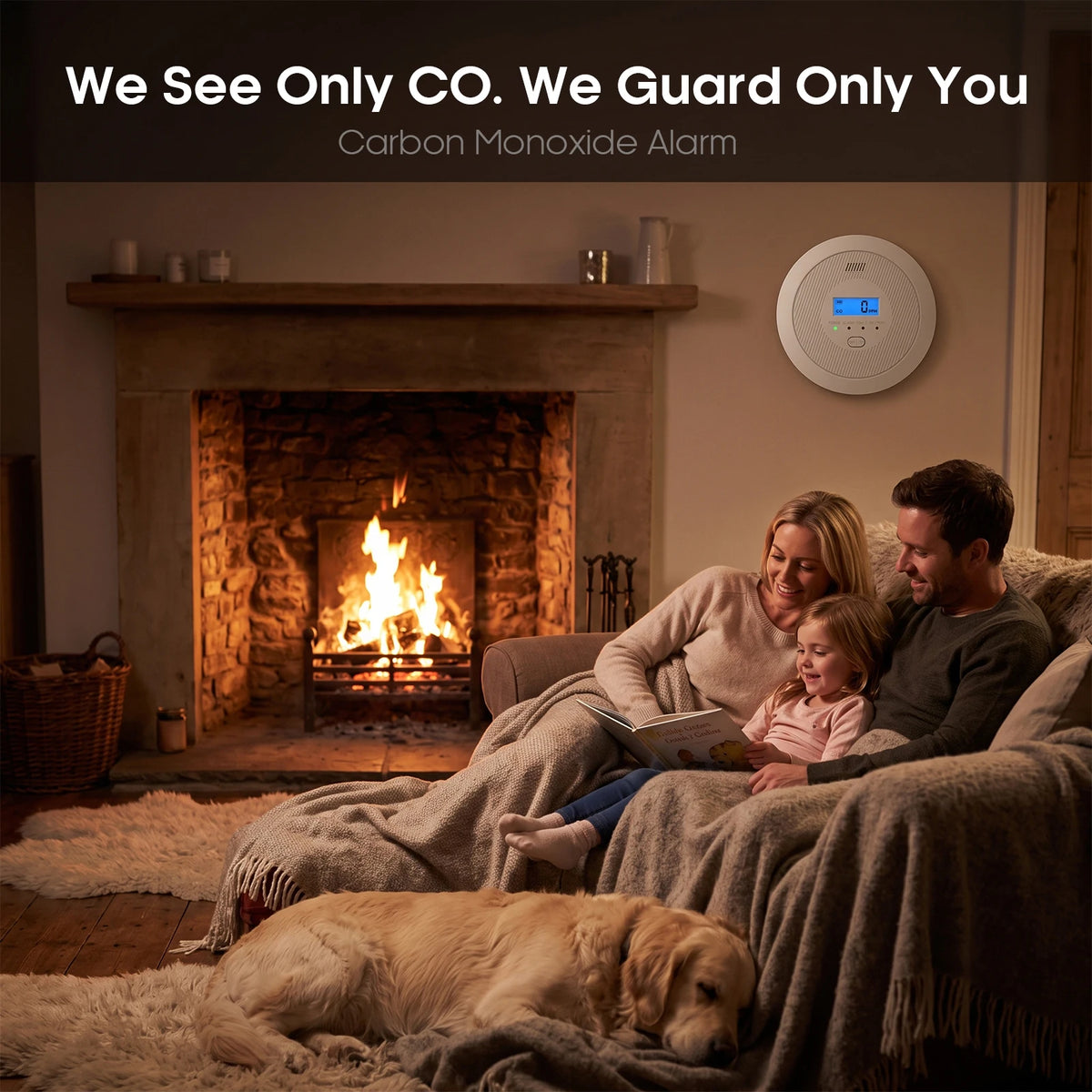 LCD Display Carbon Monoxide Alarm, 85dB CO Detector