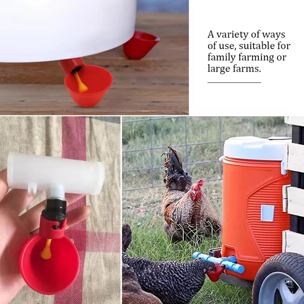 Peck-Operated Poultry Drinking Cups, Style and Pack Options