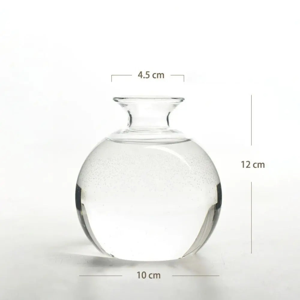 Glass Avocado-Seed Starter Vase, Shape Options