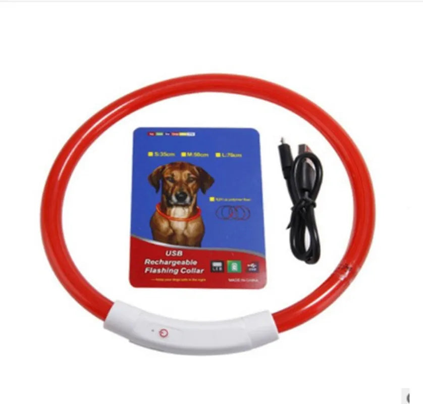 Collar de mascota con LED recargable por USB