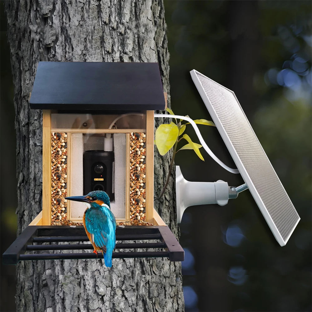 1080P Solar Bird Feeder Camera with Night Vision