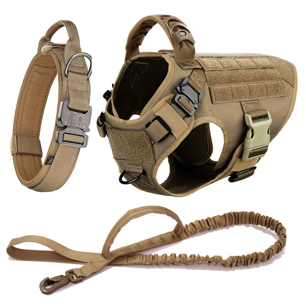 Large Dog Harness and Leash Set for Training and Walking