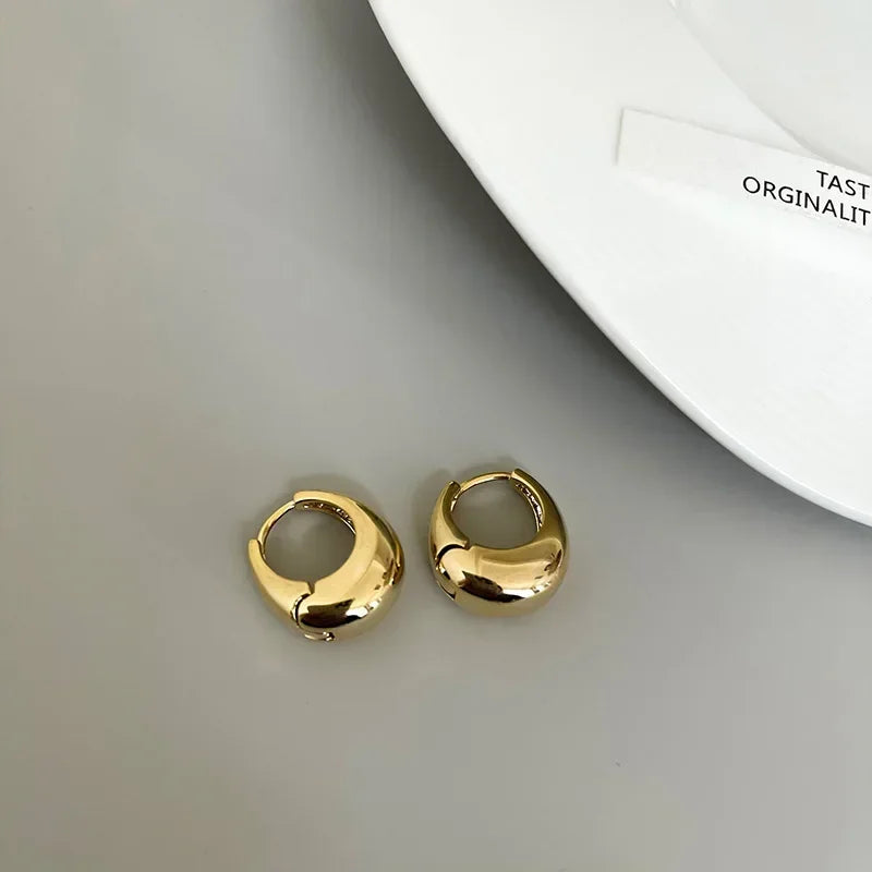 Punk Oval Hoop Earrings in Minimalist Metallic Style