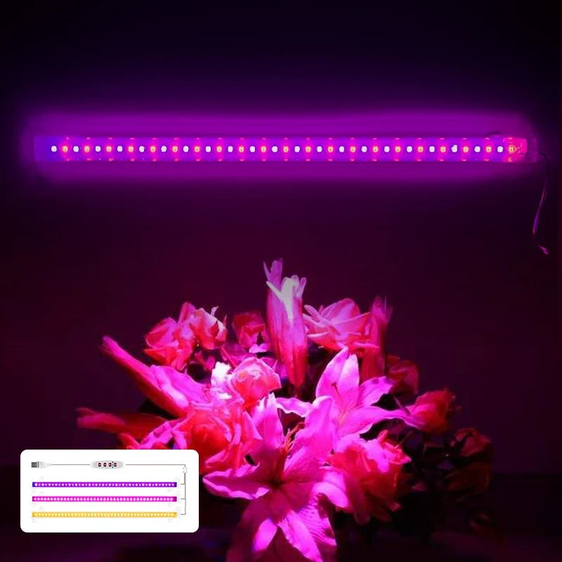 30 cm USB LED Plant Light Bars, 1–4 Bar Options