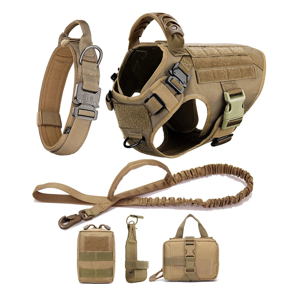 Large Dog Harness and Leash Set for Training and Walking
