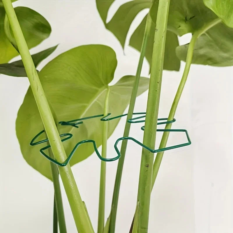 Gennemsigtige Planterstilk-Super Clips, 4 Stykker