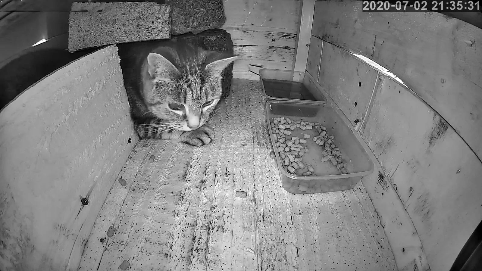 Kamera do budki lęgowej z 5MP 2MP 1080P HD Kamera Bezprzewodowa WiFi i Powiadomienia w Aplikacji Inteligentna budka lęgowa z robieniem zdjęć i nagrywaniem wideo P2P Camhipro