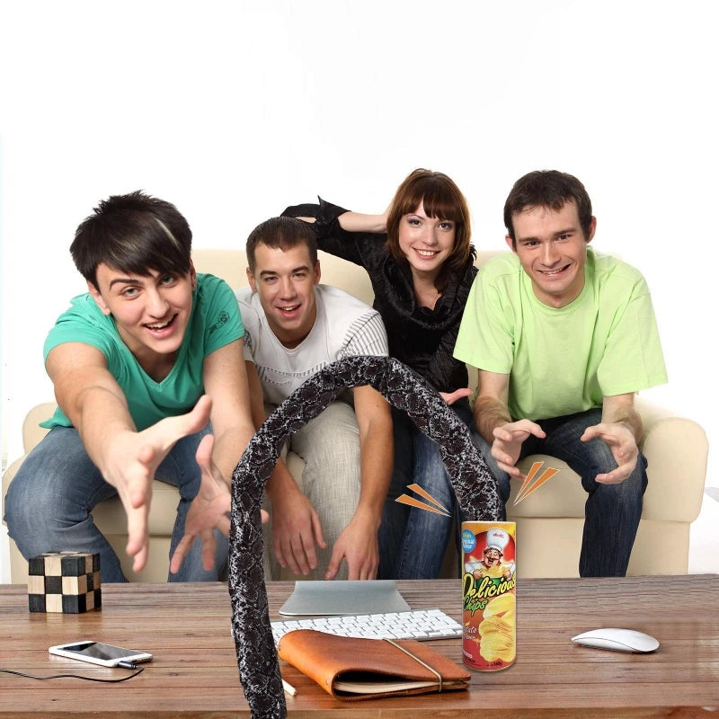 Prank Snake Toy in Potato Chip Can 🐍 