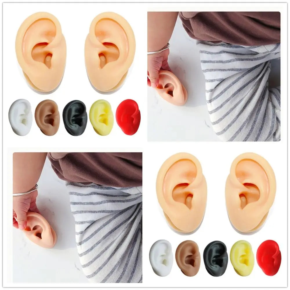 Silicone Ear Model for Teaching and Earring Display