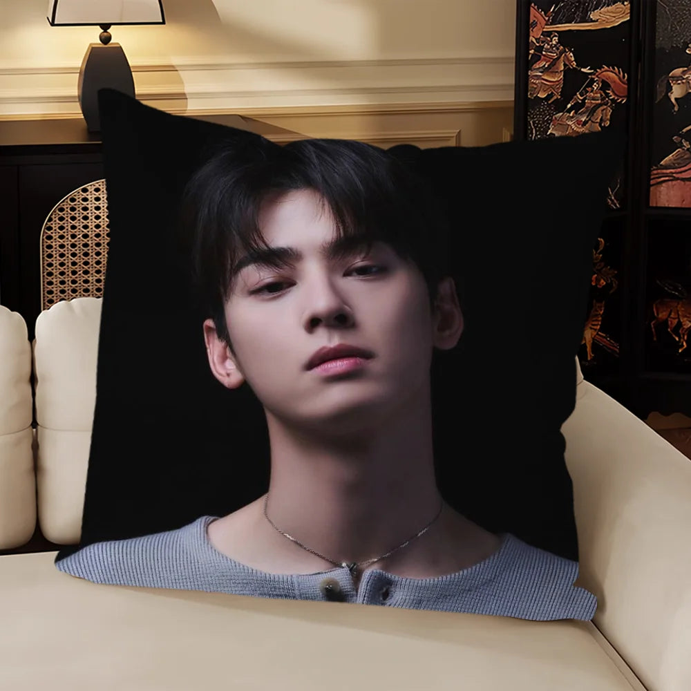 Cha Eun Woo Cushion Cover, Square Printed Pillow Case 30-70 cm