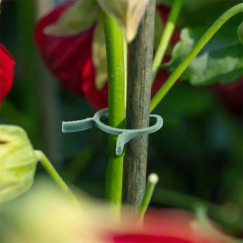 Clipes de suporte para plantas, 100 ou 200 unidades, em três tamanhos