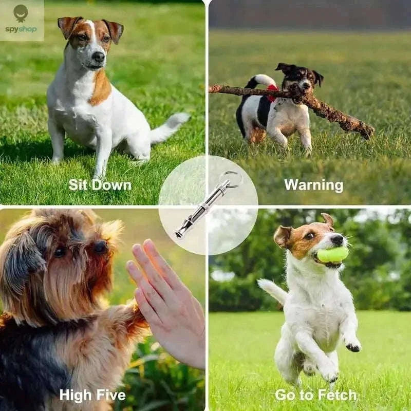 Adjustable Dog Whistle for Bark Control and Recall Training-silver / 2pcs