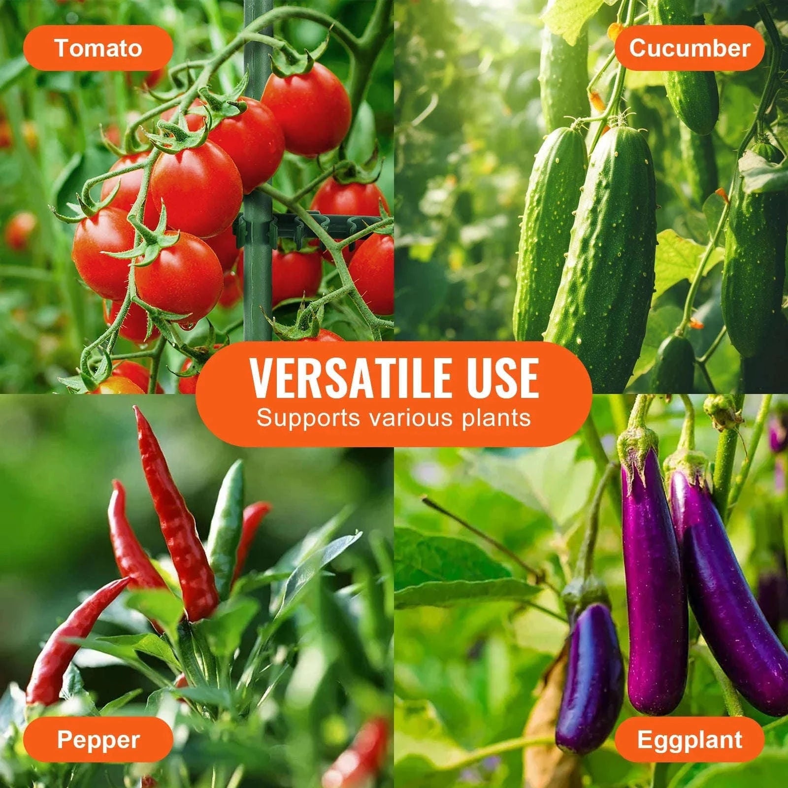 Adjustable Tomato Cage Plant Support Trellis Set-63inch / United States