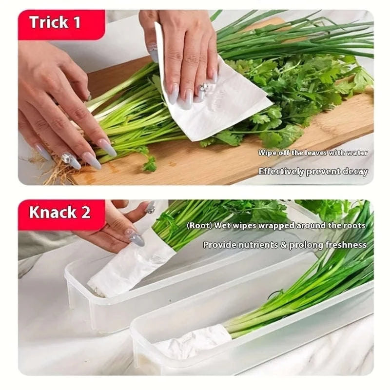 Airtight Food Preservation Box Set (2 Pieces)-6pcs