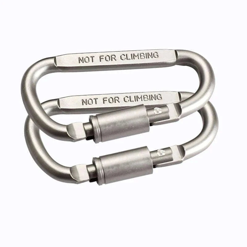 Aluminum Alloy Carabiner Keychain D-Ring Clip-2 pcs / 8 cm / CN