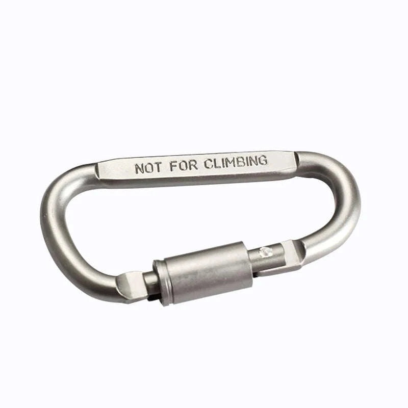 Aluminum Alloy Carabiner Keychain D-Ring Clip-2 pcs / 8 cm / CN