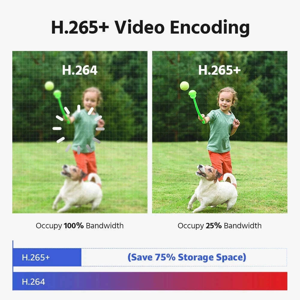 ANNKE 4K Outdoor Dual-Lens Security Camera System, 180° View-8pcs With NVR / CZECH REPUBLIC / 1T