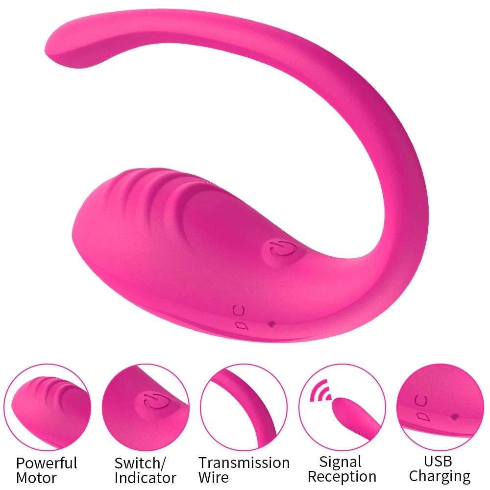 App Controlled Wearable Vibrating Egg with 9 Modes for Couples-Purple with Box