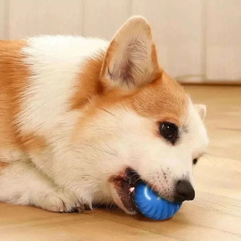 Automatic Bouncing Dog Ball Interactive Toy-Orange