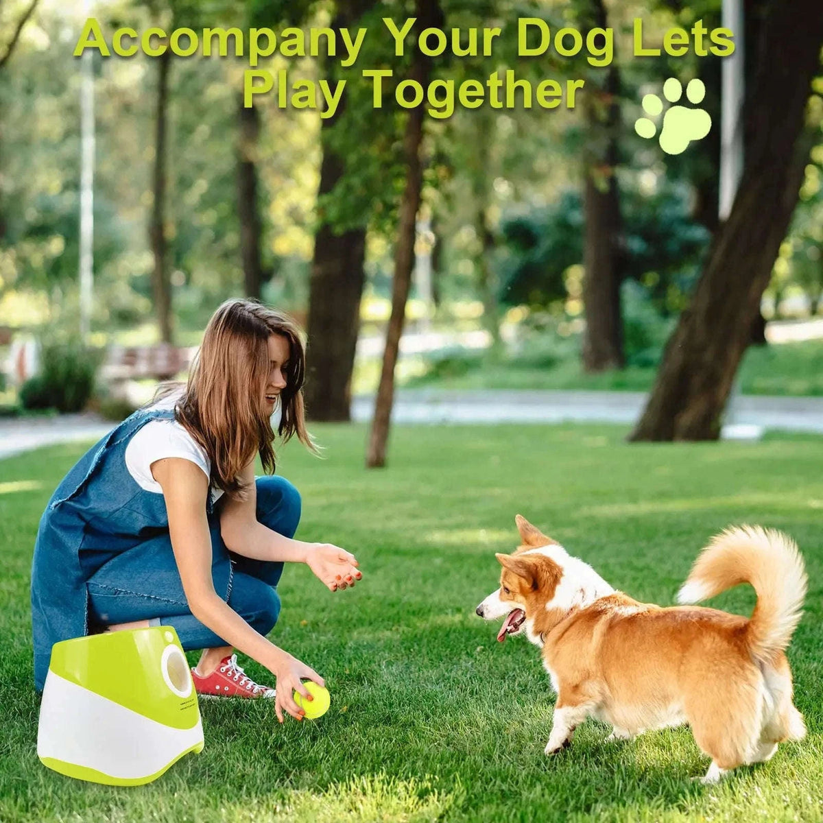 Automatic Dog Ball Launcher with 3 Distances, USB Rechargeable-with 3 tennis / france