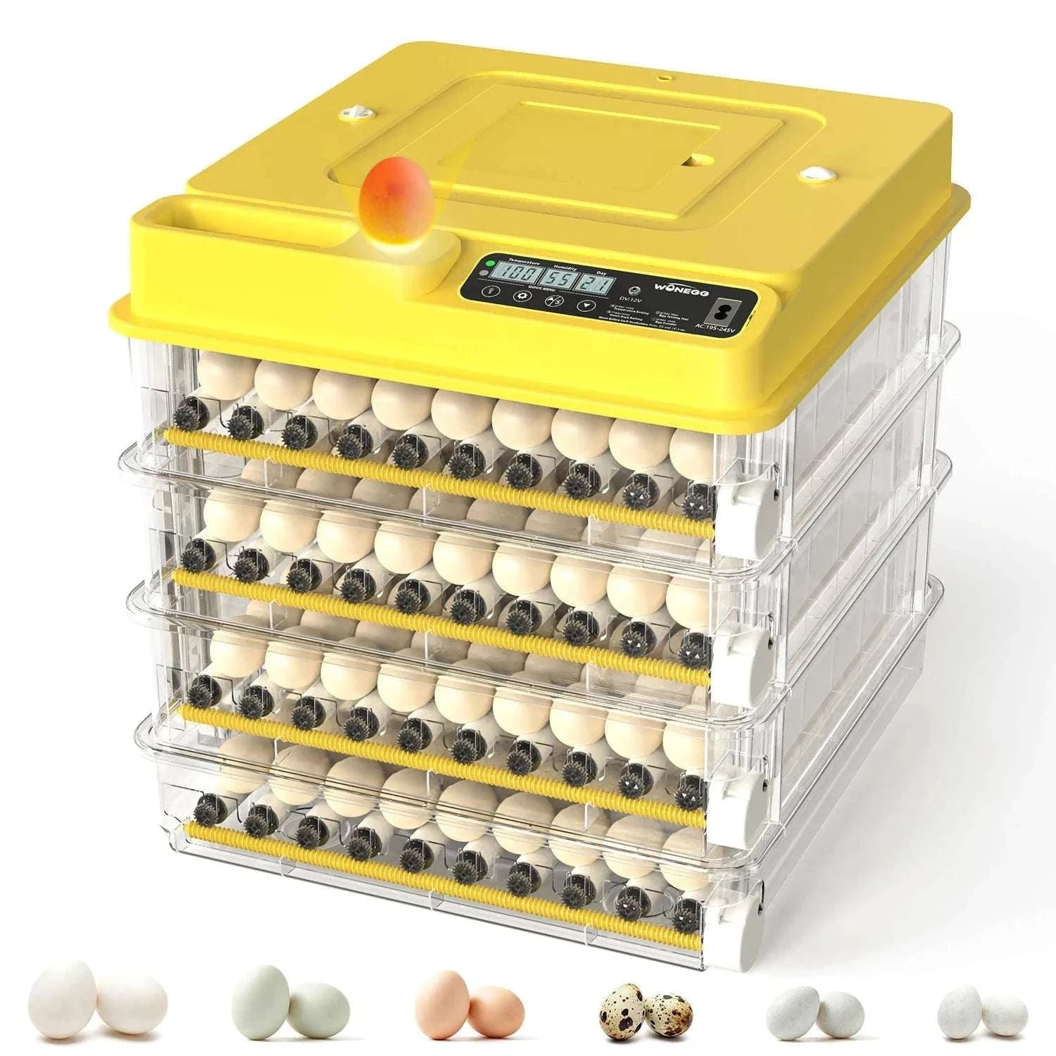 Automatic Egg Incubator 36–216 Capacity with Auto Turning Control-108 Eggs / United States