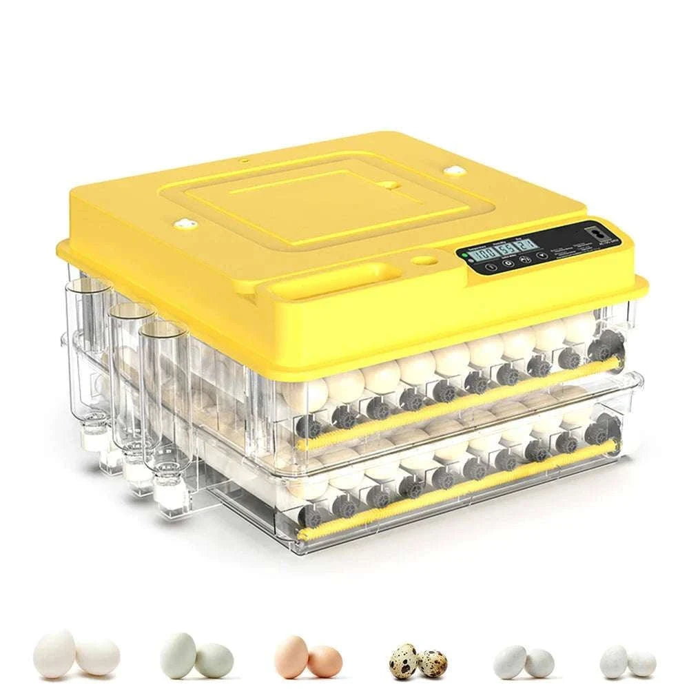 Automatic Egg Incubator 36–216 Capacity with Auto Turning Control-108 Eggs / United States
