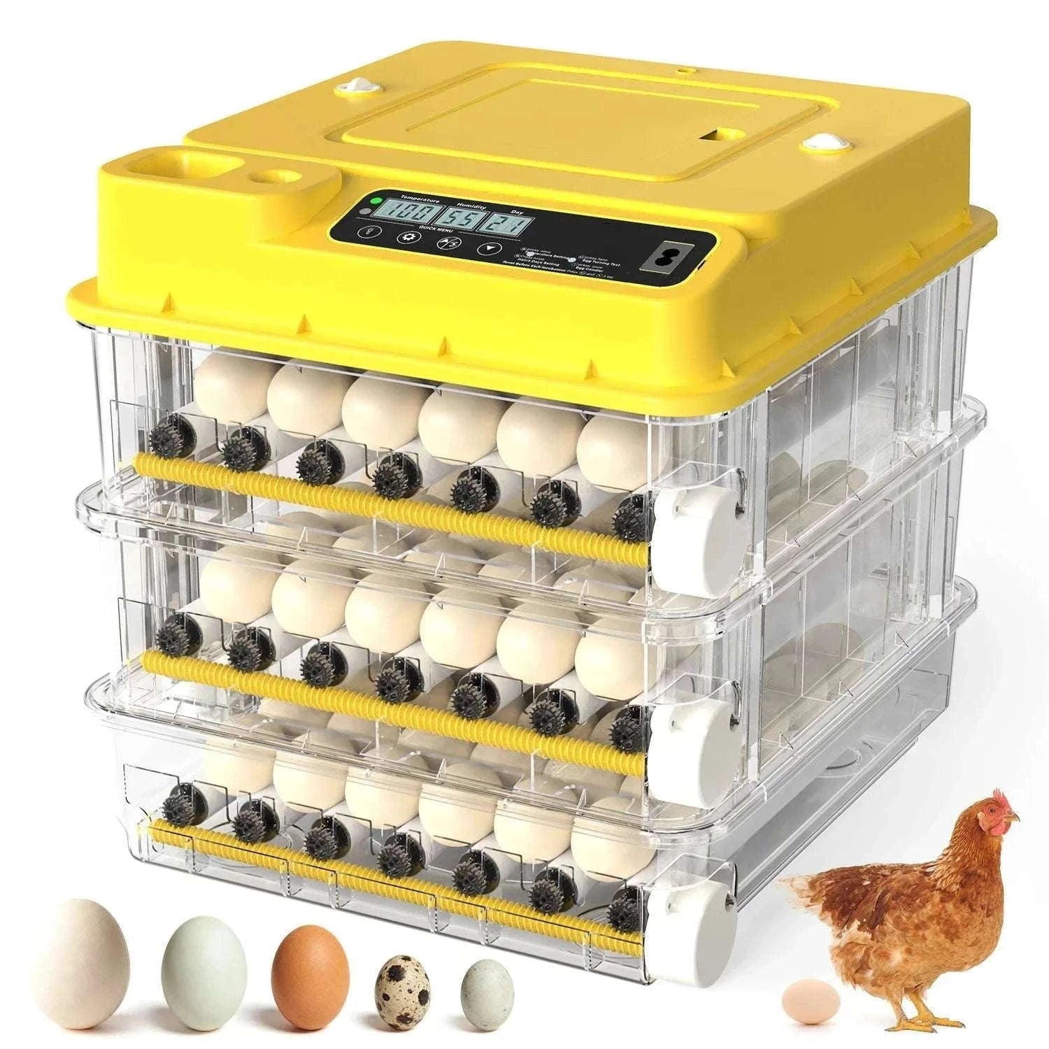Automatic Egg Incubator 36–216 Capacity with Auto Turning Control-108 Eggs / United States