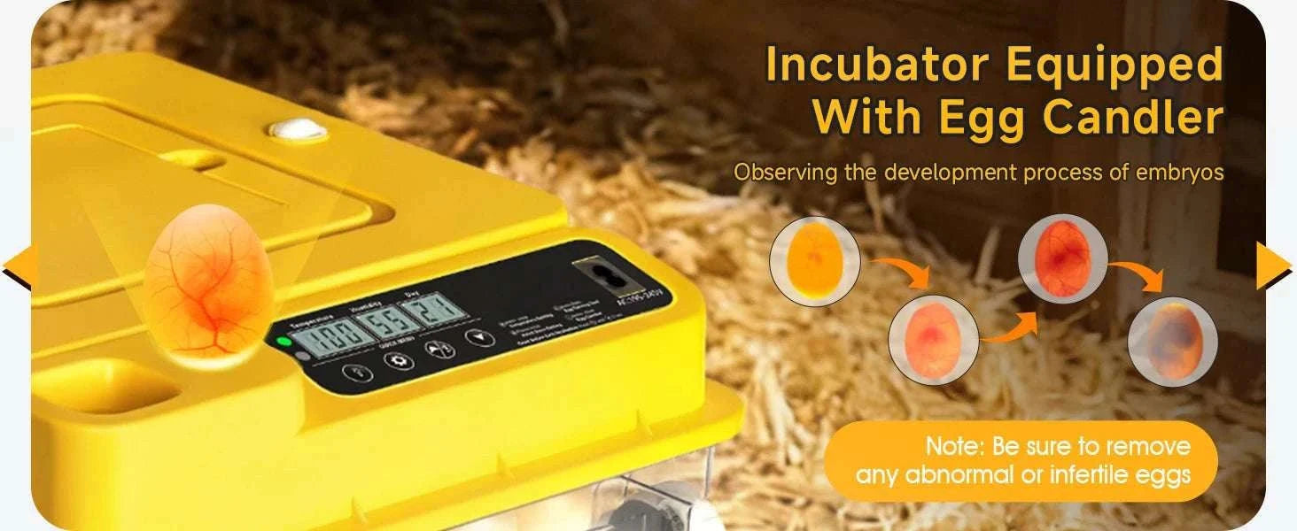 Automatic Egg Incubator 36–216 Capacity with Auto Turning Control-108 Eggs / United States