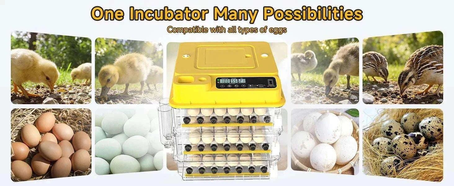 Automatic Egg Incubator 36–216 Capacity with Auto Turning Control-108 Eggs / United States