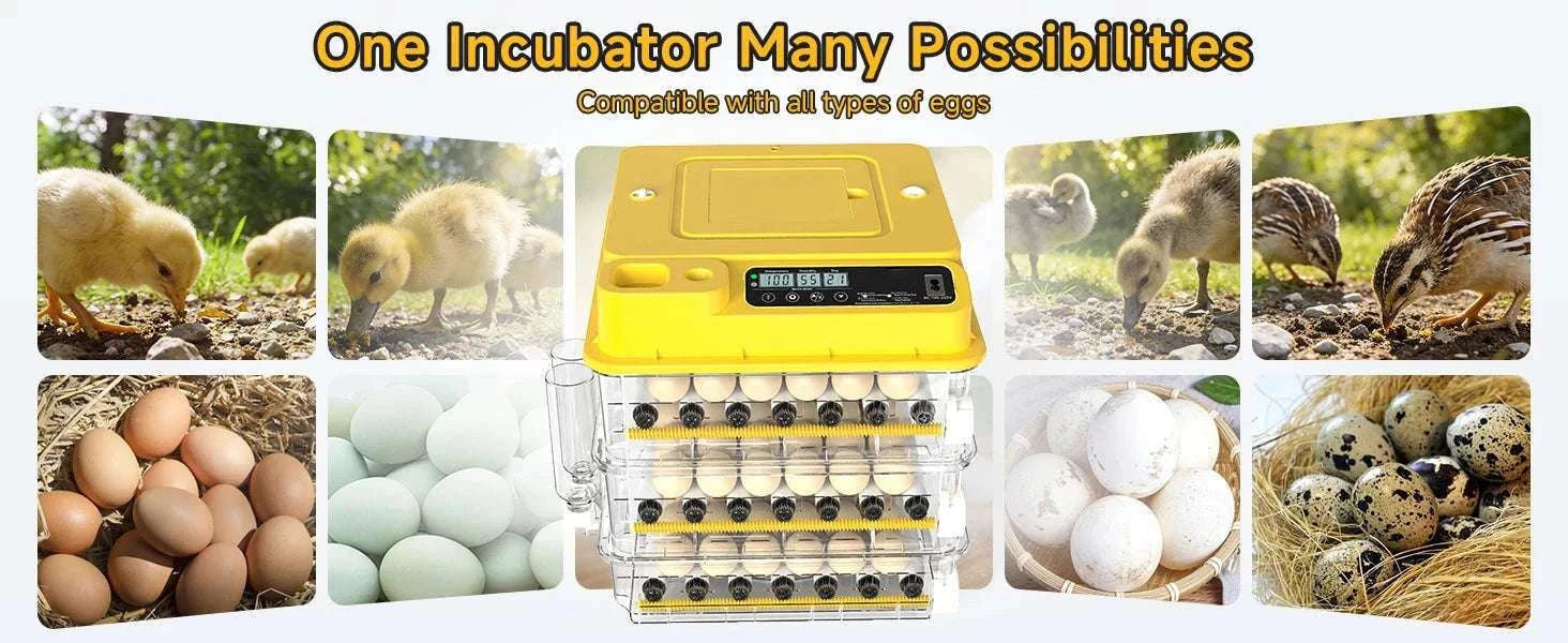 Automatic Egg Incubator 36–216 Capacity with Auto Turning Control-108 Eggs / United States
