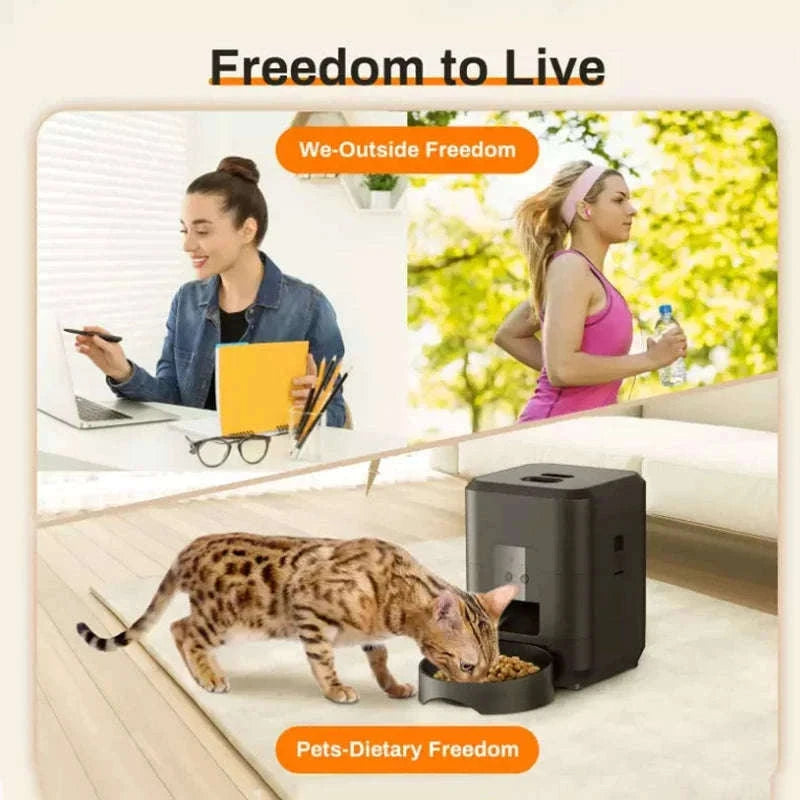 Automatic Pet Feed Dispenser 2L with Smart Feeding & Voice Recording-Black WIFI Feeder / China Mainland