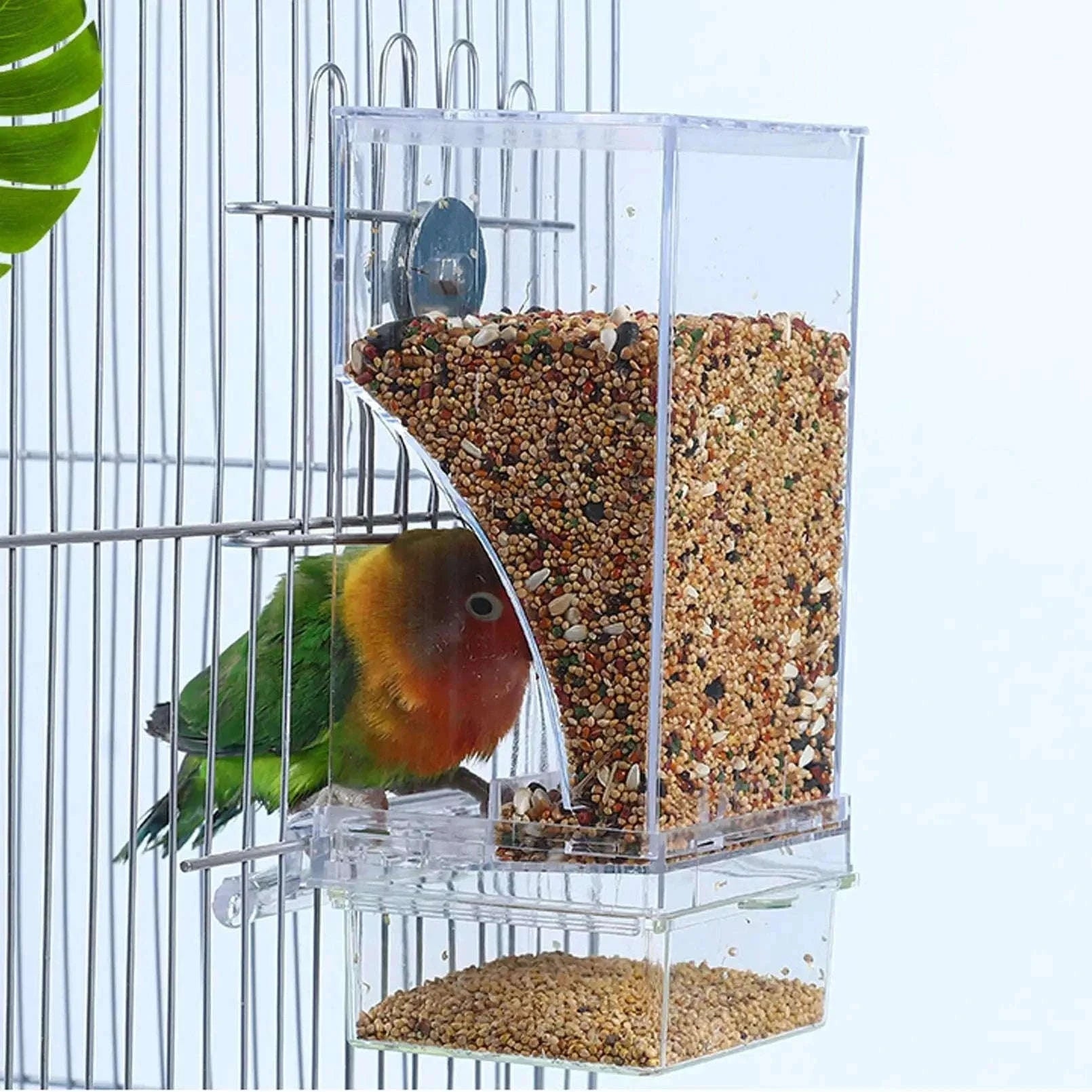Automatic Spill-Proof Parrot Bird Feeder with Clear Acrylic-White